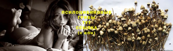 спиды Арсеньев