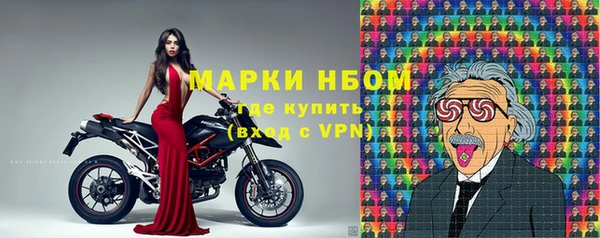 PSILOCYBIN Аркадак