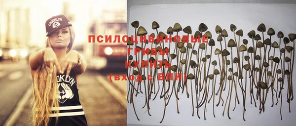 спиды Арсеньев