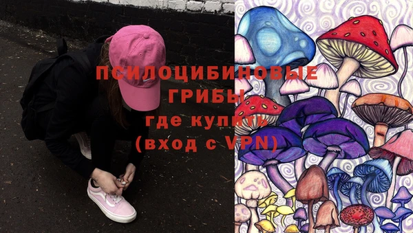спиды Арсеньев