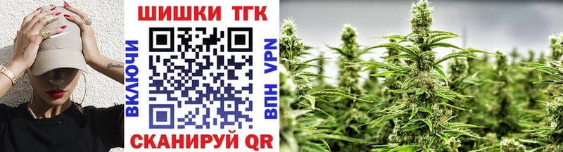 как найти Белокуриха Бошки Шишки план